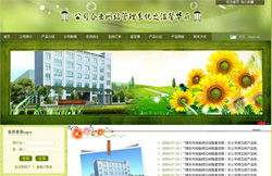 嵊州專業(yè)網(wǎng)站建設與淘寶網(wǎng)店裝修一站式服務